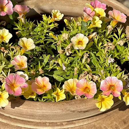 Kate's Place Apartment, 5' Walk From The *